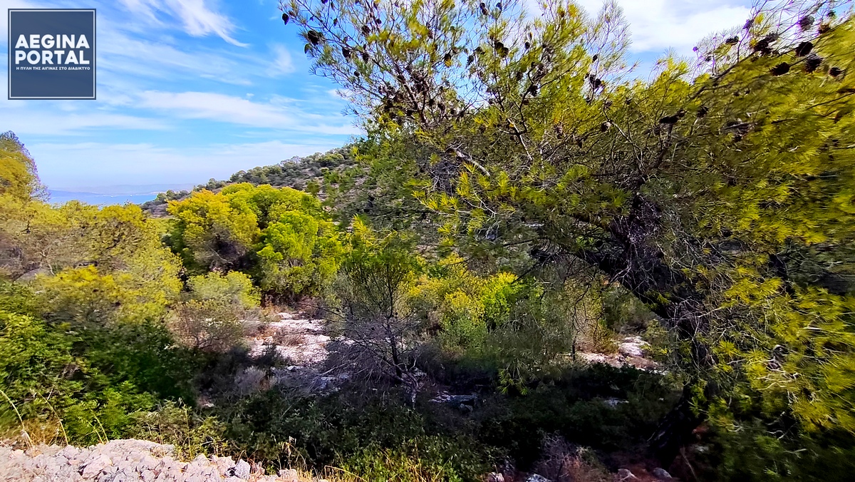 Υψηλός κίνδυνος πυρκαγιάς στην Αίγινα (κατηγορία κινδύνου 3) την Τρίτη 23 Ιουνίου 2026.