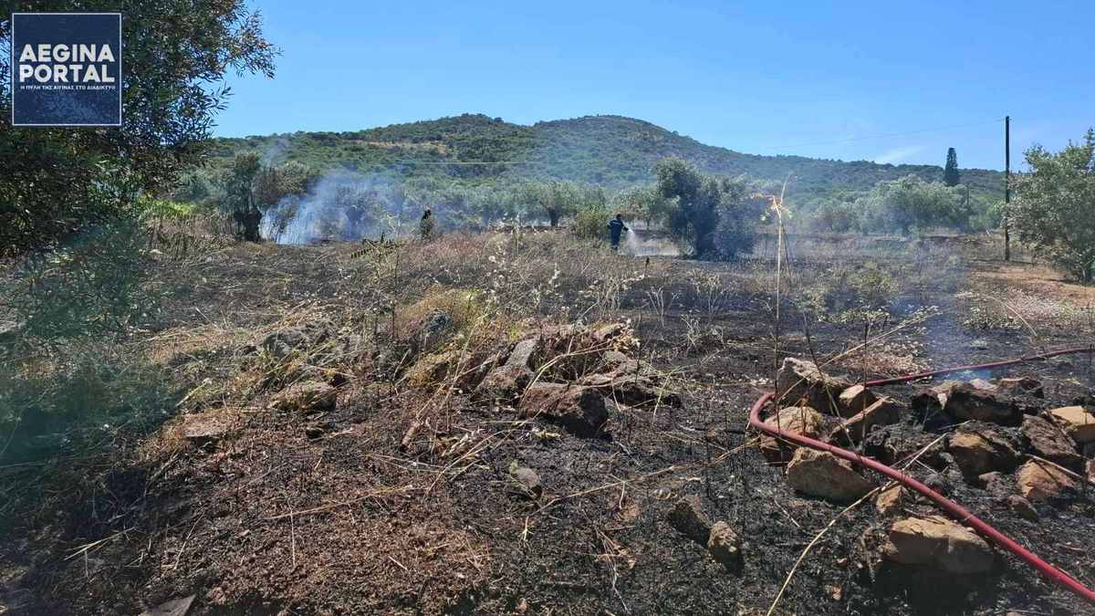 fotia-mesagros.jpg