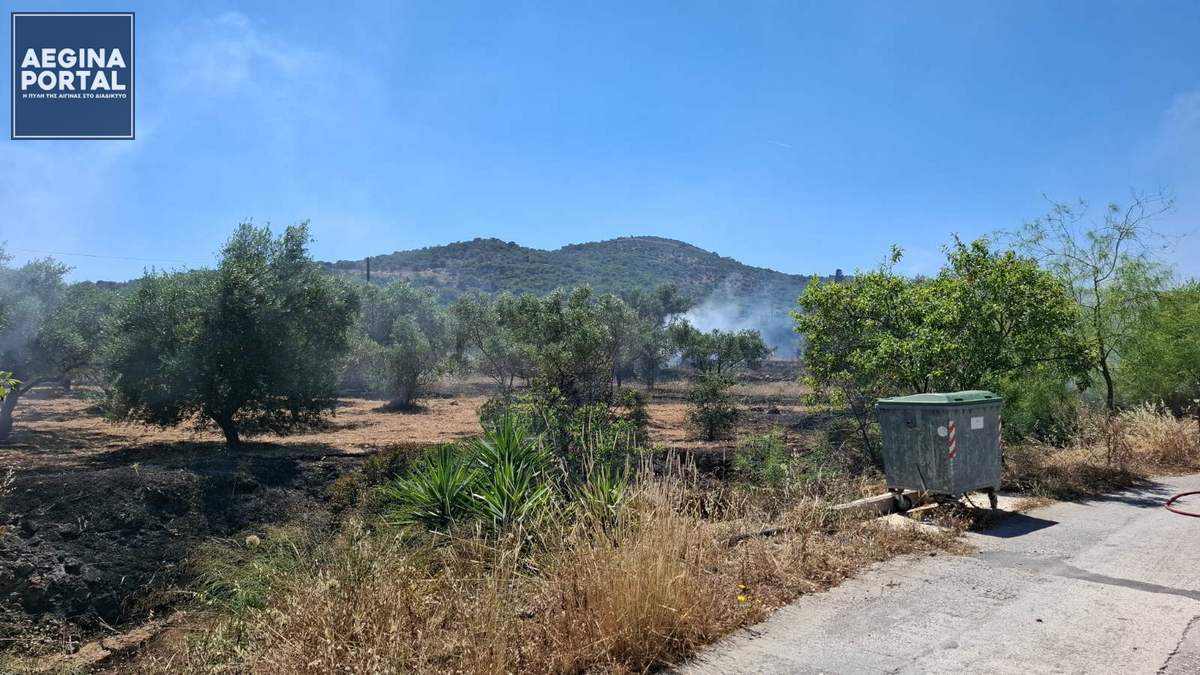 fotia-mesagros2.jpg