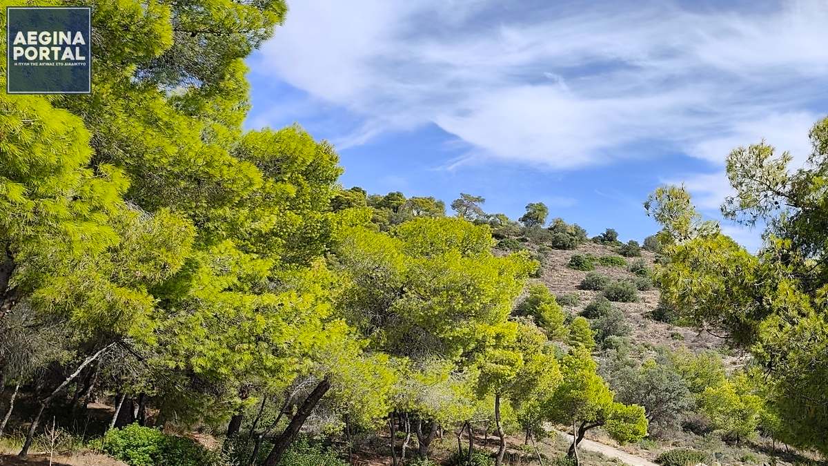 Πολύ υψηλός κίνδυνος πυρκαγιάς στην Αίγινα (κατηγορία κινδύνου 4) το Σάββατο 29 Αυγούστου 2026. Πολύ υψηλός κίνδυνος πυρκαγιάς στην Αίγινα (κατηγορία κινδύνου 4) το Σάββατο 29 Αυγούστου 2026.