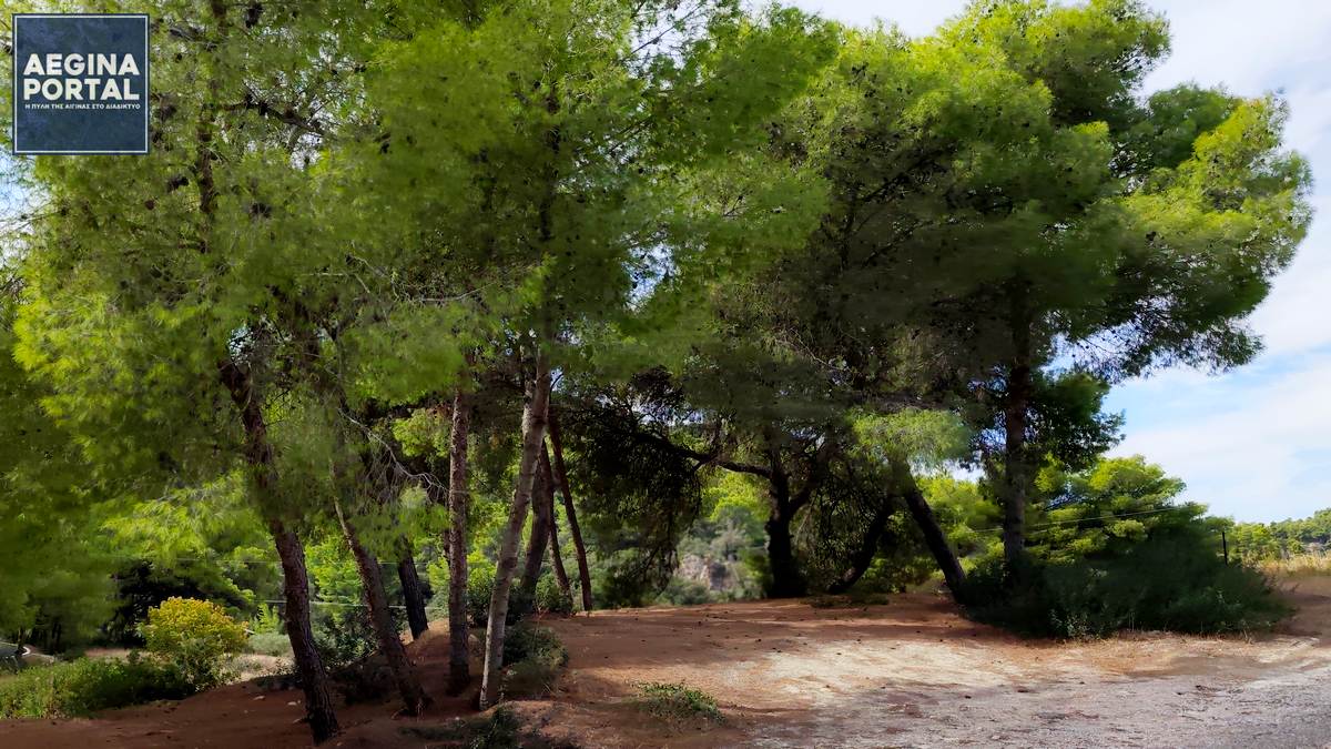 Πολύ υψηλός κίνδυνος πυρκαγιάς στην Αίγινα (κατηγορία κινδύνου 4) την Κυριακή 28 Ιουνίου 2026.