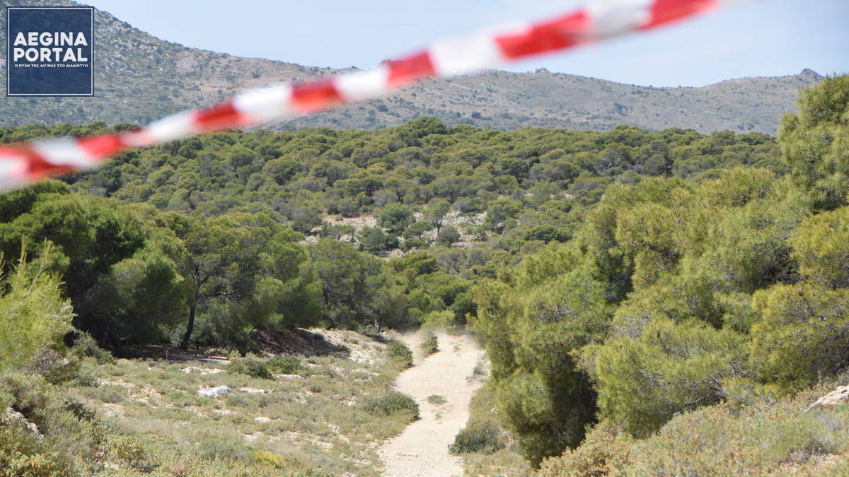 Πολύ υψηλός κίνδυνος πυρκαγιάς στην Αίγινα (κατηγορία κινδύνου 4) την Κυριακή 2 Αυγούστου 2026. Σε κατάσταση κινητοποίησης (Red Code). Πολύ υψηλός κίνδυνος πυρκαγιάς στην Αίγινα (κατηγορία κινδύνου 4) την Κυριακή 2 Αυγούστου 2026.