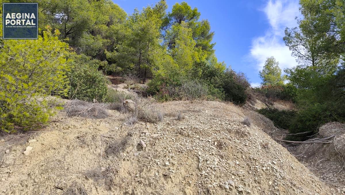 Πολύ υψηλός κίνδυνος πυρκαγιάς στην Αίγινα (κατηγορία κινδύνου 4) την Πέμπτη 30 Ιουλίου 2026.
