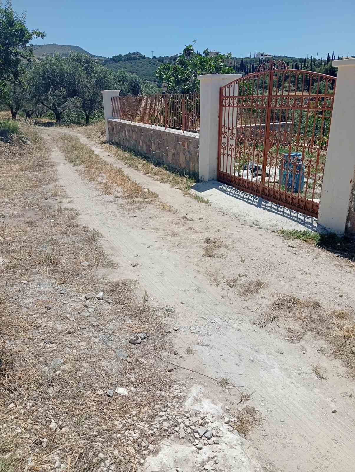 εικόνα_Viber_2026-06-05_10-12-51-439.jpg