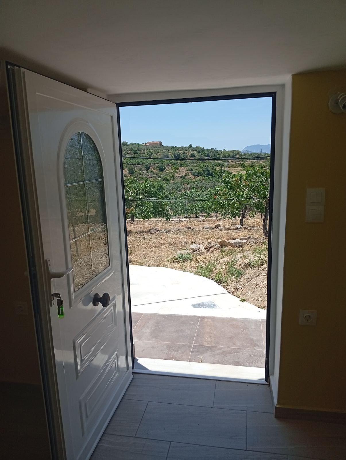 εικόνα_Viber_2026-06-05_10-12-51-554.jpg