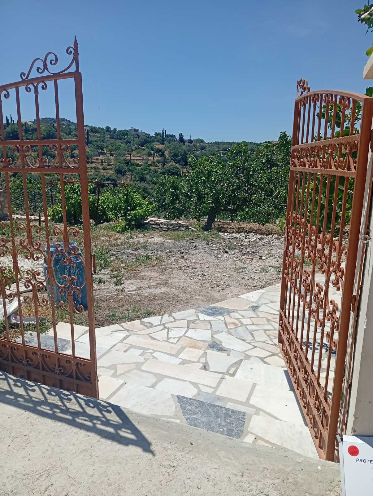 εικόνα_Viber_2026-06-05_10-12-51-721.jpg