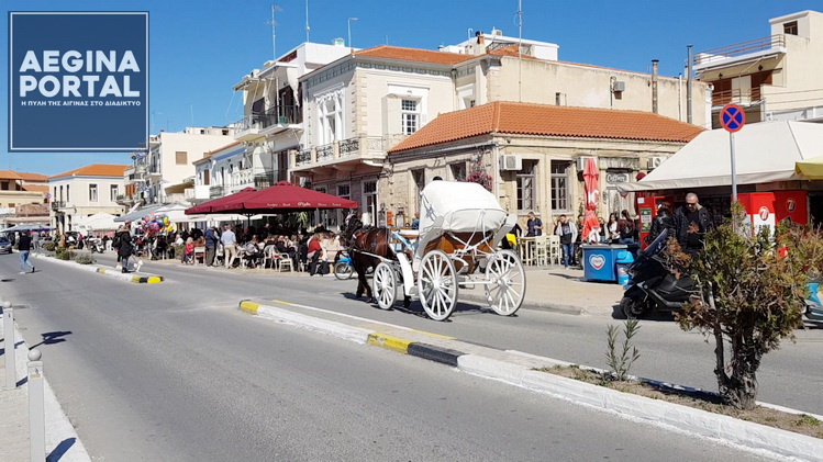 Αποτέλεσμα εικόνας για αιγινα