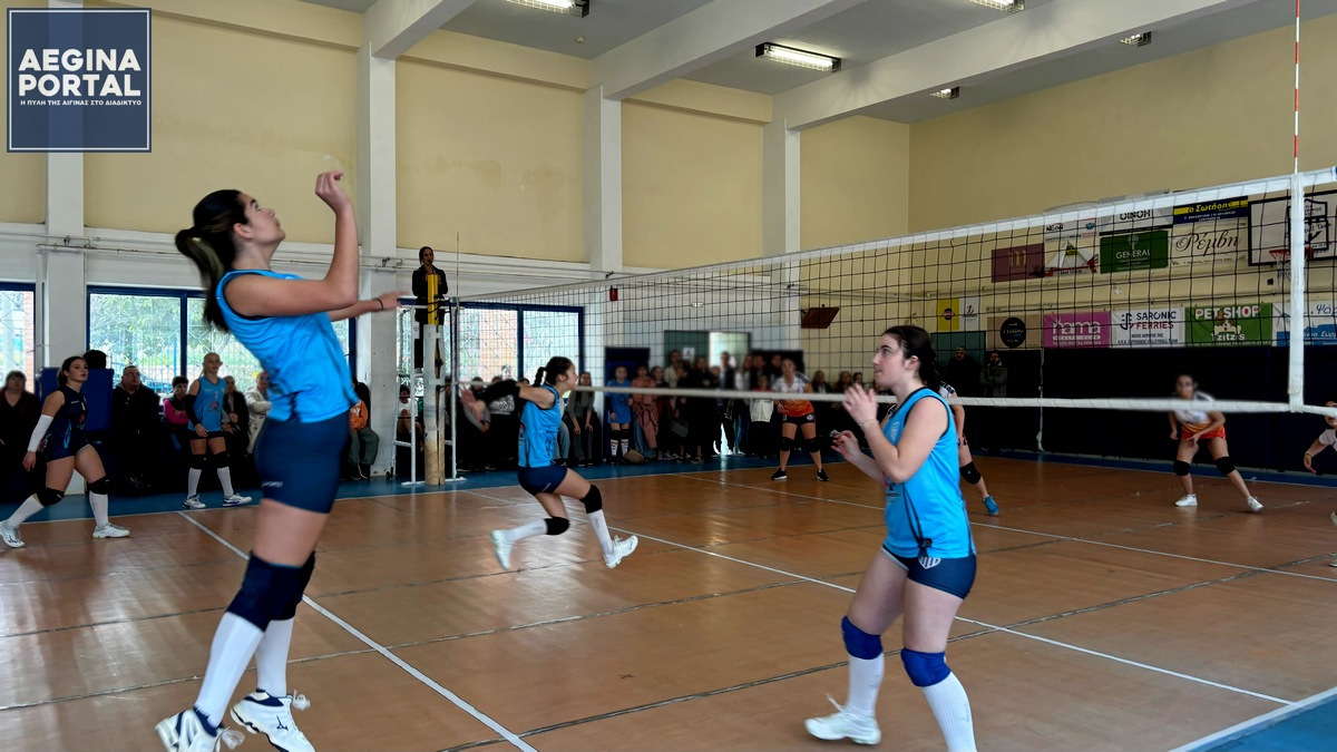 IMG_6994-volley-b-01.jpg