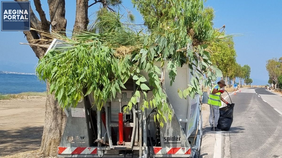 Στα 13,33 €/m³ παραμένει το τέλος αποκομιδής κλαδεμάτων και στα 20,00 €/m³ η αποκομιδή ογκωδών αντικειμένων για το 2026.