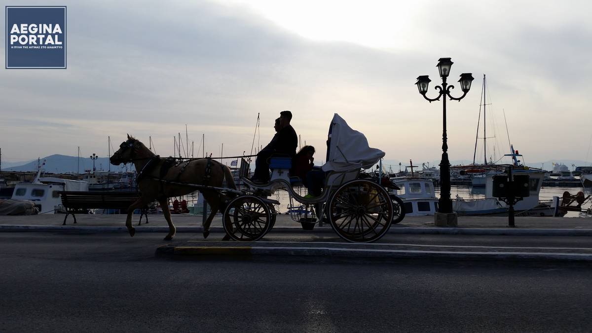 Νέα διαδικασία και αυστηρότερο πλαίσιο για τις άδειες κυκλοφορίας ζωήλατων οχημάτων.