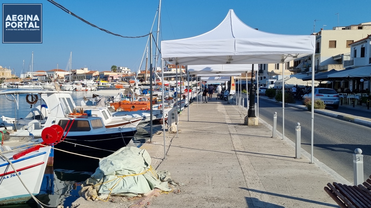 Σύσταση επιτροπής για τη διοργάνωση του Φεστιβάλ Φιστικιού έτους 2025
