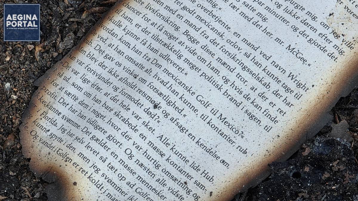 Ιδιαίτερη θλίψη προκαλεί η εικόνα των καμένων φύλλων βιβλίων που έχουν σκορπιστεί ανάμεσα στα ερείπια