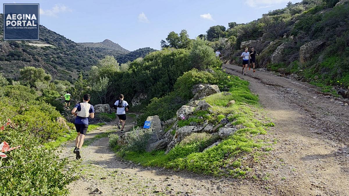 Την διοργάνωση υλοποίησε ο σύλλογος στίβου «Όμιλος Αθλοπαιδιών Κούρος Αίγινας»