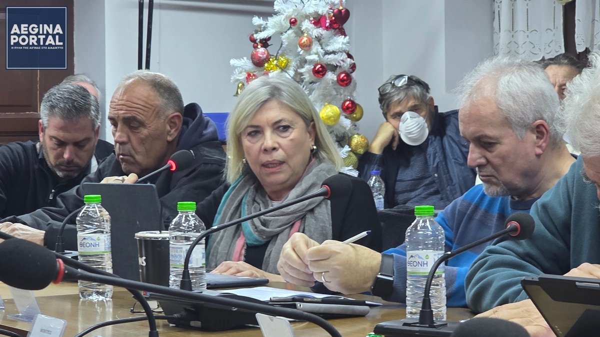 Πρόταση της κ. Σίλας Αλεξίου, ώστε να μην χρεωθούν οι καταναλωτές το νερό των γεωτρήσεων. Επικράτησε η ανάγκη οικονομοτεχνικής διερεύνησης και οριστικής απόφασης σε μεταγενέστερο χρόνο.