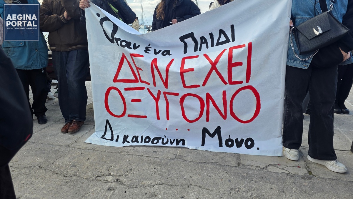 Έγινε λόγος για προδιαγεγραμμένο έγκλημα και για διαχρονικές πολιτικές ευθύνες