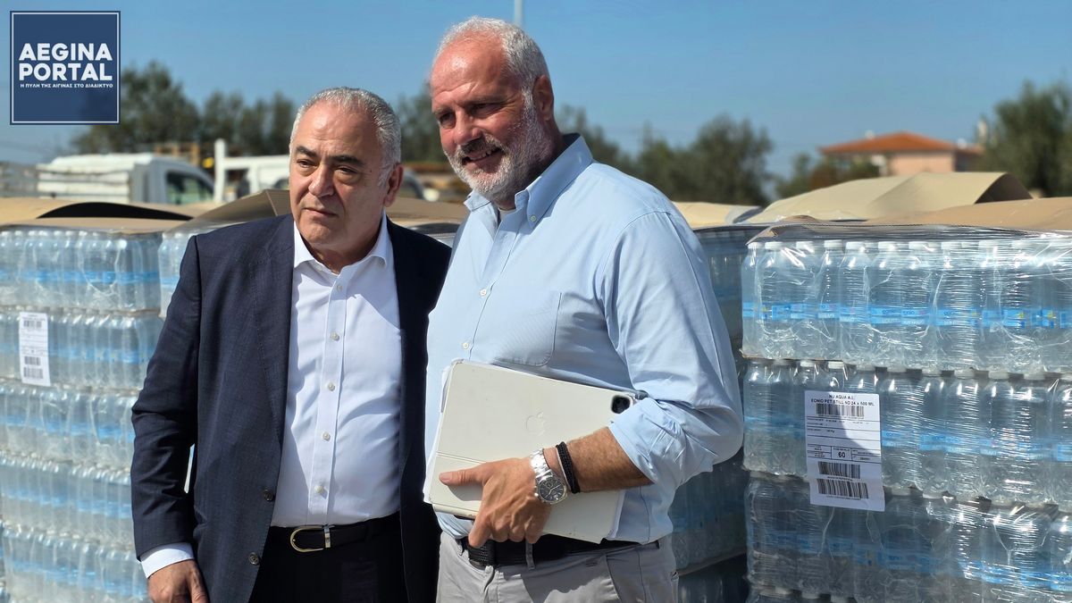 Από την πλευρά του, ο κ. Χατζηθεοδοσίου υπογράμμισε ότι το Επαγγελματικό Επιμελητήριο