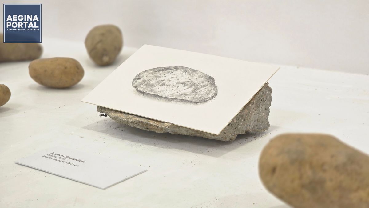 Από την πλευρά του ο δήμαρχος κ. Ζορμπάς χαρακτήρισε την έκθεση «προοίμιο»