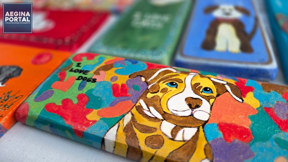 Το πρόγραμμα περιλαμβάνει ποικίλες δραστηριότητες για όλες τις ηλικίες