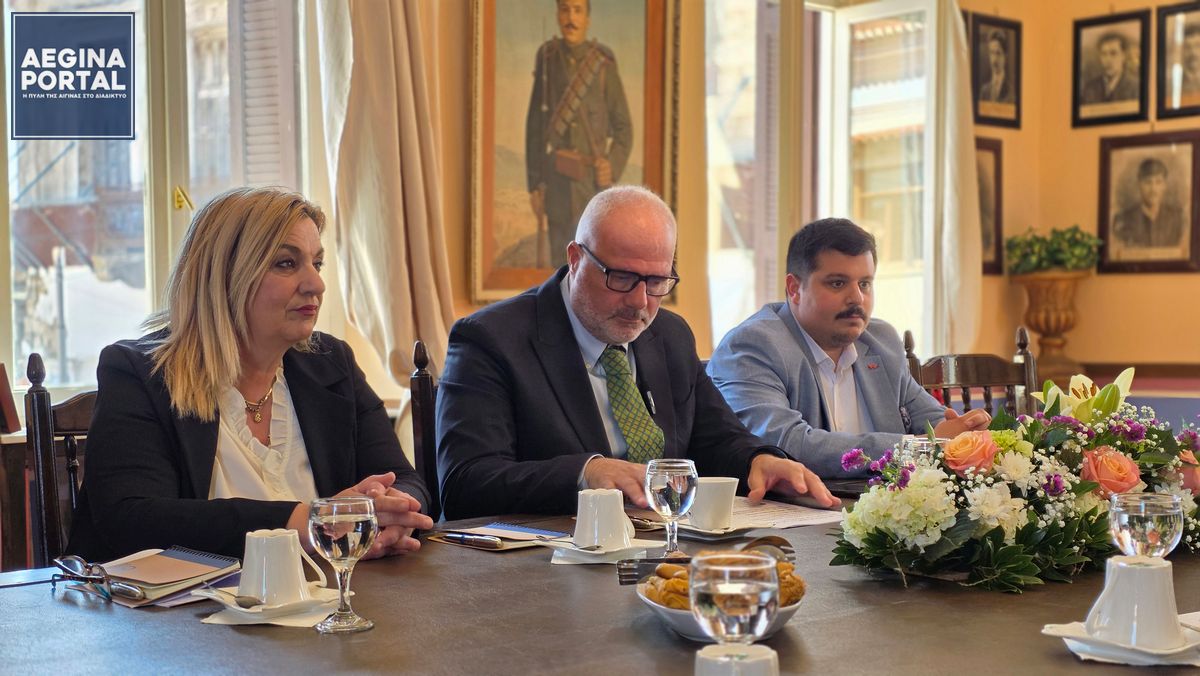 Η σύνθεση της αντιπροσωπείας