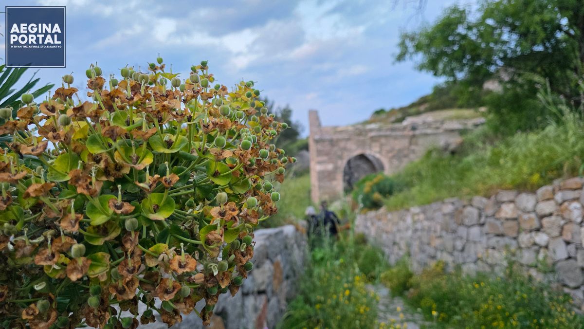Αξιοσημείωτο είναι ότι ο ναός αρχικά ήταν γνωστός ως «Παναγία η Φορίτισσα»