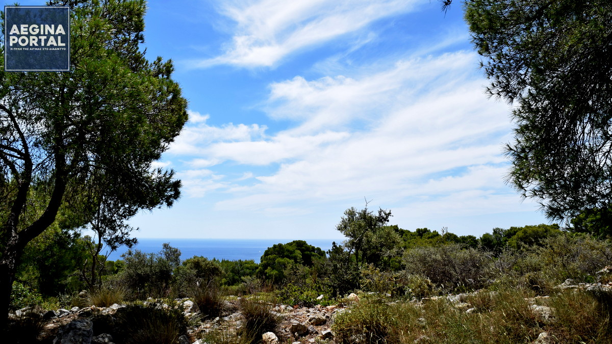 250701-daos.jpg
