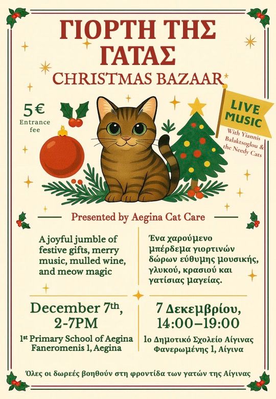AeginaCatCare_ChristmasBazaar_Flyer_2025_v2.jpg