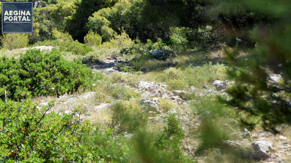 DSC_0252-apagorefsi.JPG