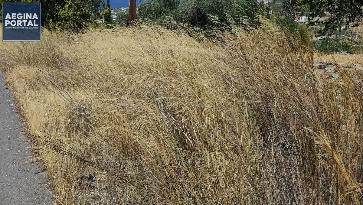 IMG_20250807_120053.jpg