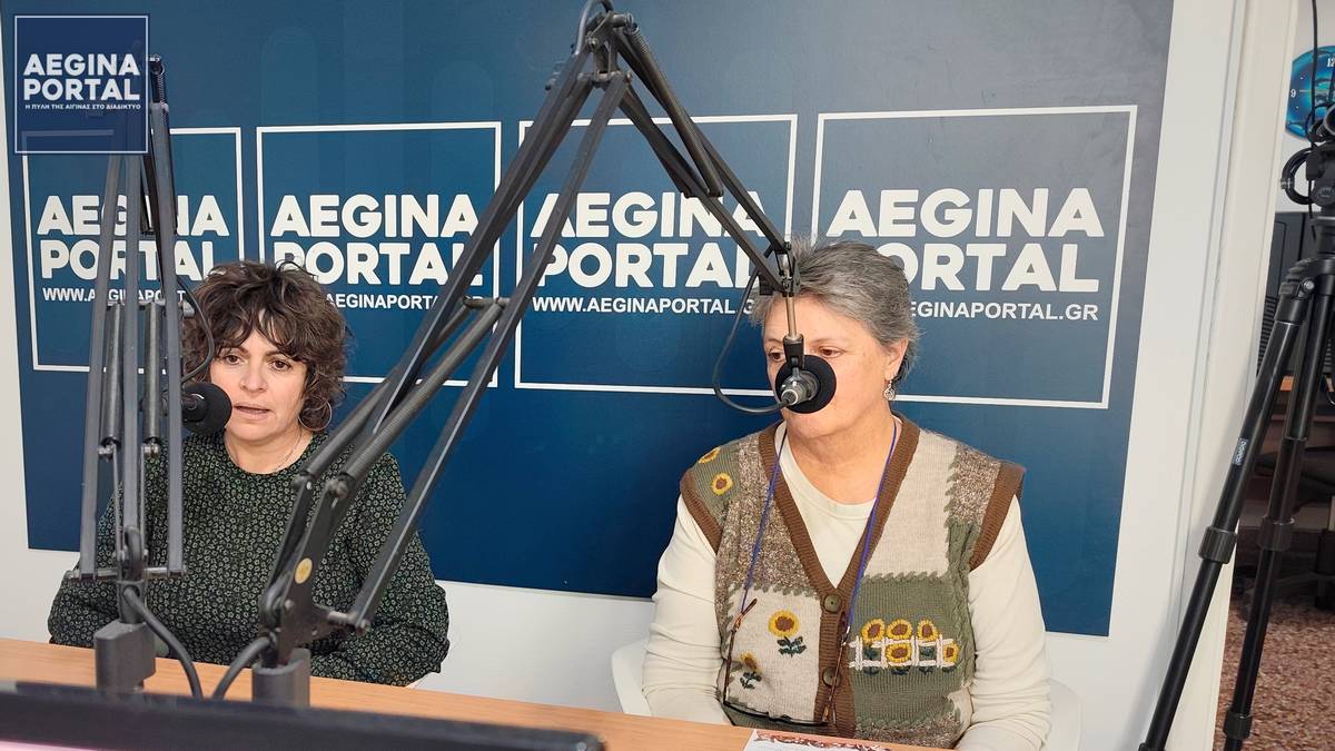 Η εικόνα των αδέσποτων στην Αίγινα