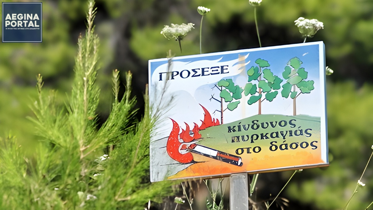aegina-dasos-kindinos-pyrkagias.jpg