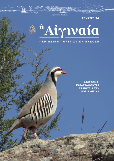 cover_aeginaia_34.jpg