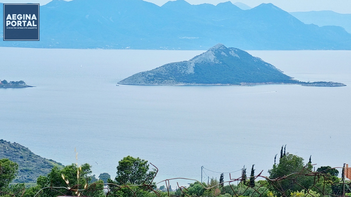Μελέτη για την άγρια πανίδα στη Μονή. Προτείνεται σταδιακή απομάκρυνση πλατωνιών και αγριοκάτσικων από το νησί.
