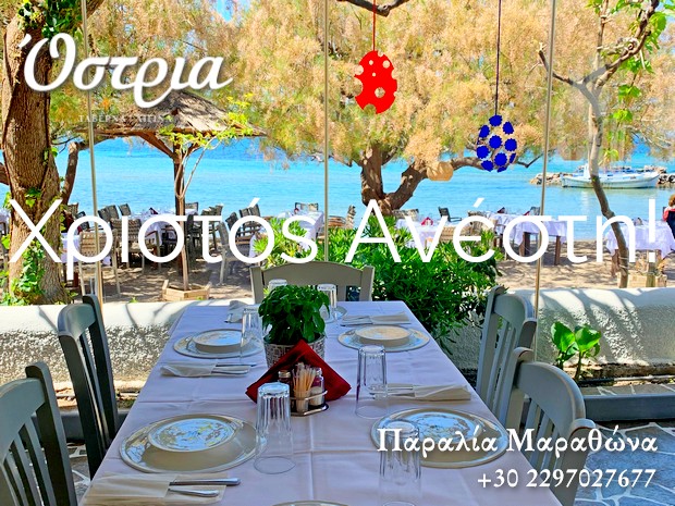την πιο ήσυχη παραλία του Μαραθώνα, μακριά από τις ομπρέλες και τις ξαπλώστρες, με τις βαρκούλες να λικνίζονται και τον απόηχο του παιχνιδιού, φιλοξενείται η Ostria και σας περιμένει