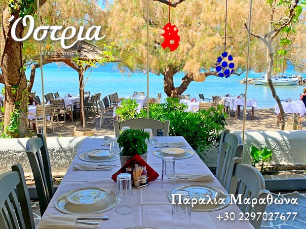 την πιο ήσυχη παραλία του Μαραθώνα, μακριά από τις ομπρέλες και τις ξαπλώστρες, με τις βαρκούλες να λικνίζονται και τον απόηχο του παιχνιδιού, φιλοξενείται η Ostria και σας περιμένει
