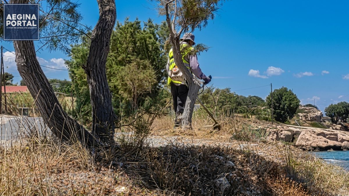 Προμήθεια εξοπλισμού πυροπροστασίας στον Δήμο Αίγινας ενόψει της αντιπυρικής περιόδου 2026. Προμήθεια εξοπλισμού πυροπροστασίας στον Δήμο Αίγινας ενόψει αντιπυρικής περιόδου 2026.