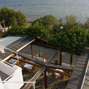 ostria-aegina-