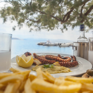 taverna-ostria-aegina-