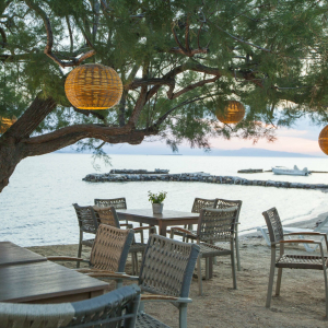 taverna-ostria-aegina-