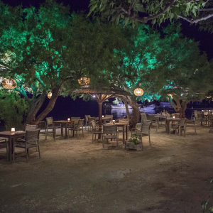 taverna-ostria-aegina-