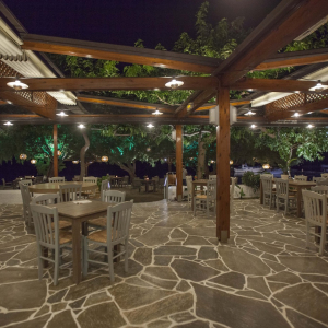 taverna-ostria-aegina-