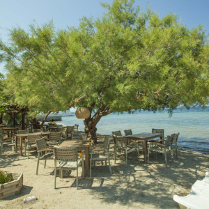 taverna-ostria-aegina-