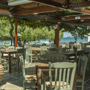 taverna-ostria-aegina-